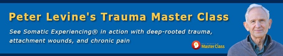 Peter Levine's Trauma Master Class